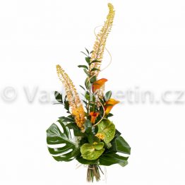 Kytice Eremurus
