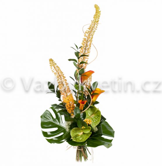 Kytice Eremurus