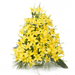 Variace žluté lilie